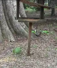 帯廣神社の御朱印