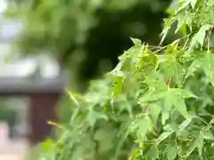 眞田神社(長野県)