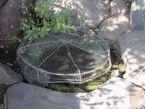 泉岳寺(東京都)