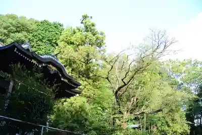 西八朔杉山神社のその他建物