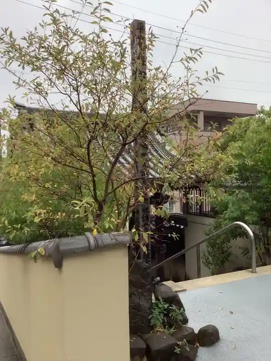 秋月院(愛知県)