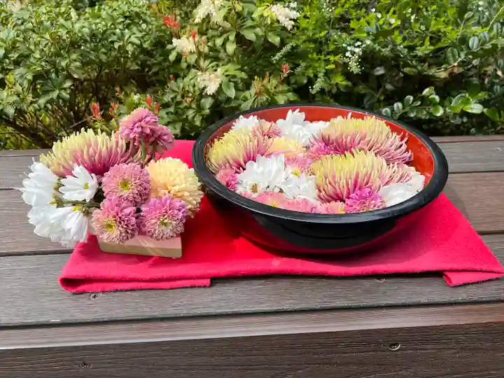 増上寺塔頭 三縁山 宝珠院の芸術