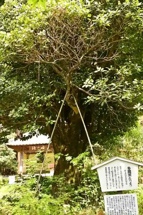 慈光寺(埼玉県)