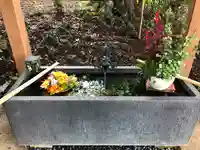 下野 星宮神社の手水舎