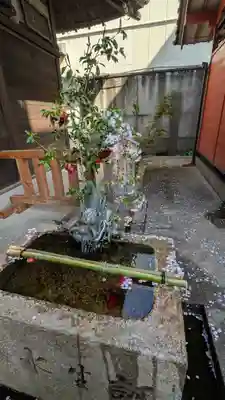 六孫王神社(京都府)