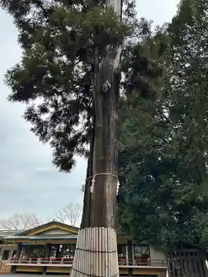 東村山八坂神社(東京都)
