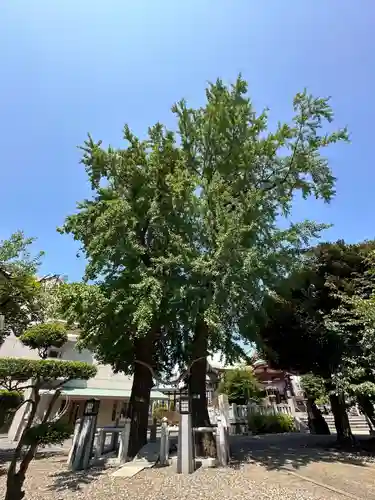 千住神社(東京都)