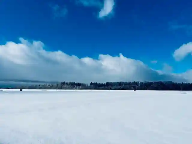 土津神社|こどもと出世の神さまの景色