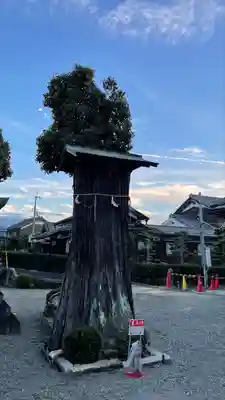 苗村神社(滋賀県)