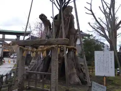 有礒正八幡宮(富山県)