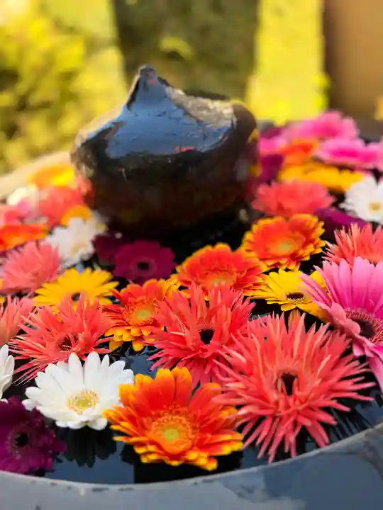 神楽坂安養寺(東京都)
