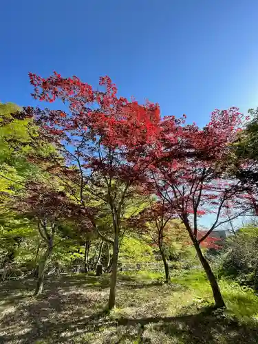 中野神社(青森県)