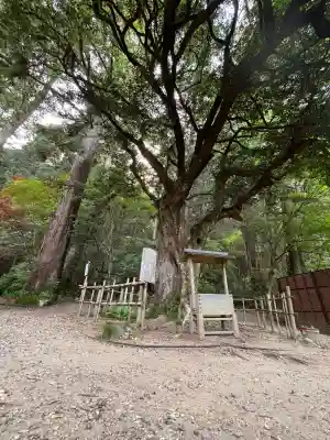 小國神社の{uncategorized: "未分類", other: "その他", undefined: "問題あり", building: "その他建物", grave: "お墓", sacred_gate: "鳥居", guardian: "狛犬", statue: "像", buddha: "仏像", history: "歴史", nature: "自然", garden: "庭園", animal: "動物", pagoda: "塔", temizu: "手水舎", mountain_gate: "山門・神門", sanctuary: "本殿・本堂", subordinate: "末社・摂社", art: "芸術", scenery: "景色", jizo: "地蔵", ema: "絵馬", goshuin: "御朱印", omikuji: "おみくじ", items: "授与品その他", amulet: "お守り", goshuincho: "御朱印帳", eats: "食事", festival: "お祭り", votive_dance: "神楽", shichigosan: "七五三参", wedding: "結婚式", experience: "体験その他", initially: "初詣", around: "周辺", anti_infection: "感染症対策"}