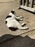 鎌数伊勢大神宮の{uncategorized: "未分類", other: "その他", undefined: "問題あり", building: "その他建物", grave: "お墓", sacred_gate: "鳥居", guardian: "狛犬", statue: "像", buddha: "仏像", history: "歴史", nature: "自然", garden: "庭園", animal: "動物", pagoda: "塔", temizu: "手水舎", mountain_gate: "山門・神門", sanctuary: "本殿・本堂", subordinate: "末社・摂社", art: "芸術", scenery: "景色", jizo: "地蔵", ema: "絵馬", goshuin: "御朱印", omikuji: "おみくじ", items: "授与品その他", amulet: "お守り", goshuincho: "御朱印帳", eats: "食事", festival: "お祭り", votive_dance: "神楽", shichigosan: "七五三参", wedding: "結婚式", experience: "体験その他", initially: "初詣", around: "周辺", anti_infection: "感染症対策"}