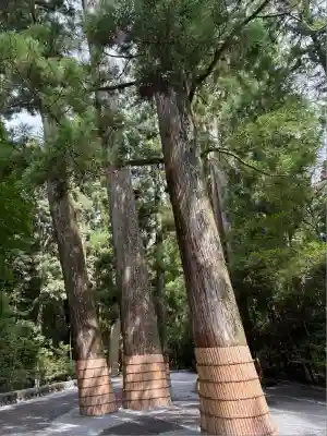伊勢神宮内宮（皇大神宮）(三重県)