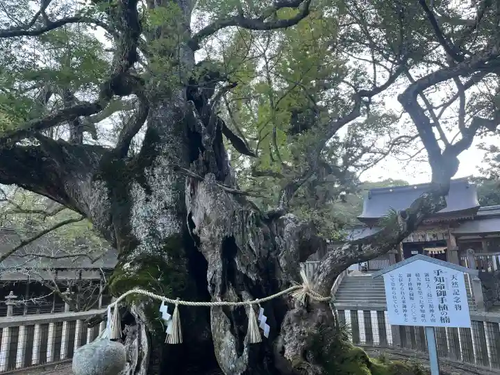 大山祇神社(愛媛県)