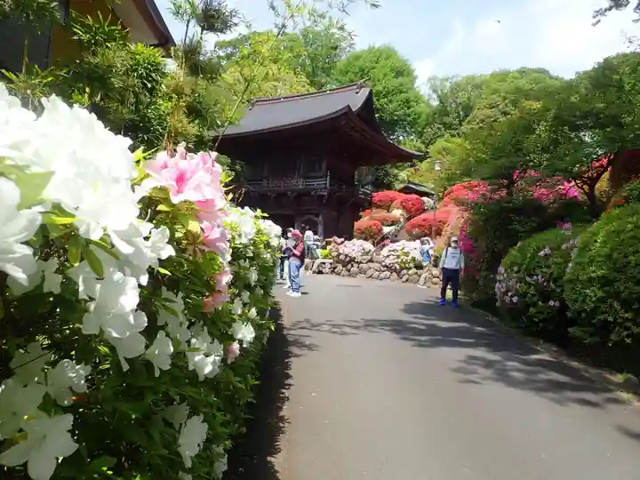 等覚院の御朱印