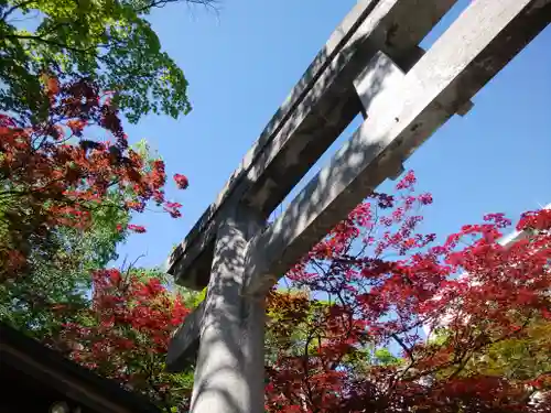 彌彦神社　(伊夜日子神社)の鳥居
