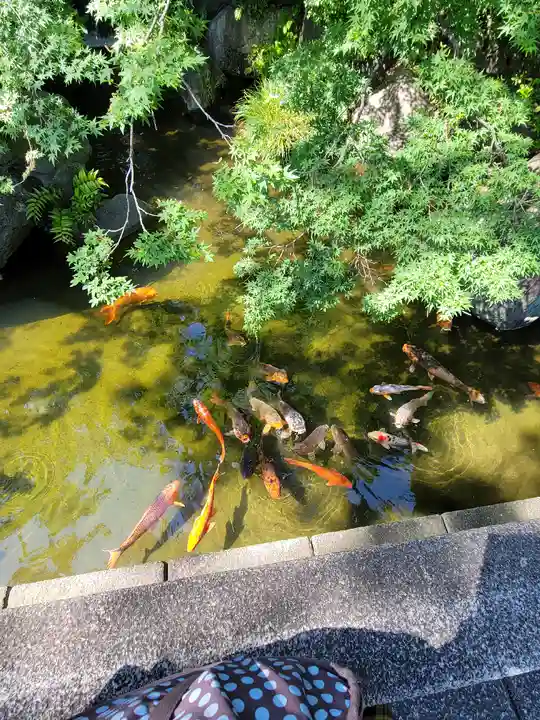 西新井大師総持寺(東京都)