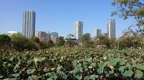 寛永寺不忍池弁天堂の周辺
