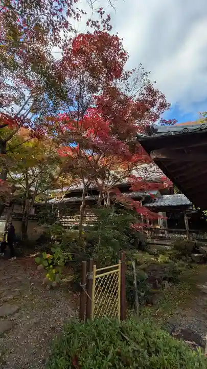 勝持寺(花の寺)(京都府)