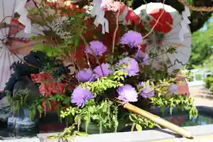 三津厳島神社(愛媛県)(2026年05月07日(木) 11時11分40秒投稿)