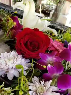 鳩森八幡神社の手水舎