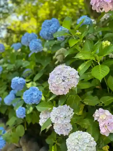 尊永寺(静岡県)