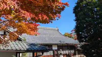 源光庵(京都府)