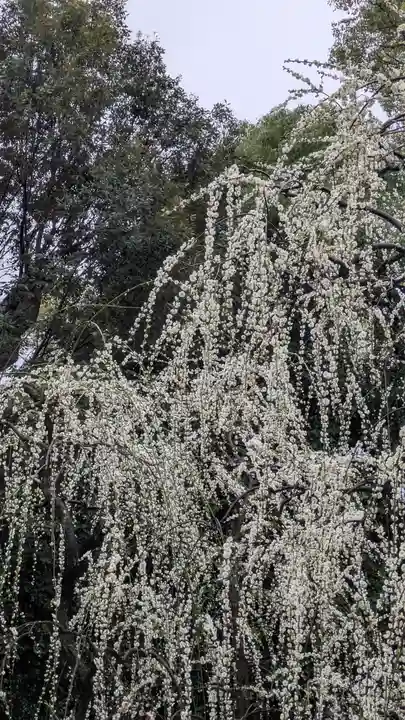 城南宮(京都府)