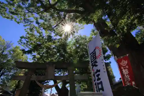 阿邪訶根神社の鳥居