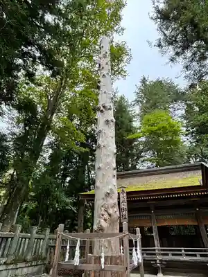 諏訪大社下社春宮(長野県)