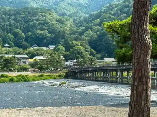 野宮神社(京都府)