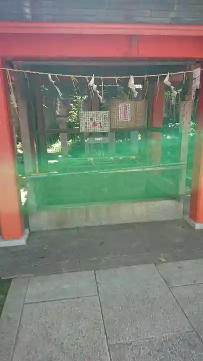 くまくま神社(導きの社 熊野町熊野神社)の手水舎