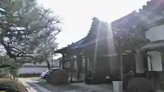 善想寺の本殿