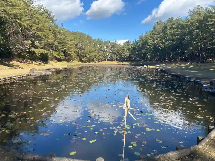 みそぎ御殿の{uncategorized: "未分類", other: "その他", undefined: "問題あり", building: "その他建物", grave: "お墓", sacred_gate: "鳥居", guardian: "狛犬", statue: "像", buddha: "仏像", history: "歴史", nature: "自然", garden: "庭園", animal: "動物", pagoda: "塔", temizu: "手水舎", mountain_gate: "山門・神門", sanctuary: "本殿・本堂", subordinate: "末社・摂社", art: "芸術", scenery: "景色", jizo: "地蔵", ema: "絵馬", goshuin: "御朱印", omikuji: "おみくじ", items: "授与品その他", amulet: "お守り", goshuincho: "御朱印帳", eats: "食事", festival: "お祭り", votive_dance: "神楽", shichigosan: "七五三参", wedding: "結婚式", experience: "体験その他", initially: "初詣", around: "周辺", anti_infection: "感染症対策"}