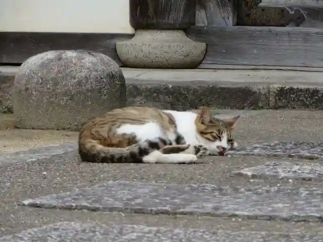 智恩寺(京都府)