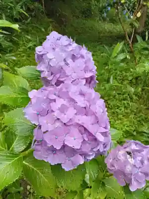 三千院門跡(京都府)