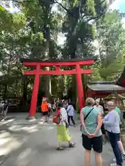 箱根神社(神奈川県)