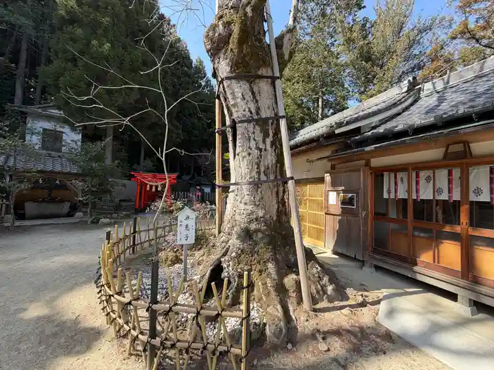 葛城一言主神社(奈良県)