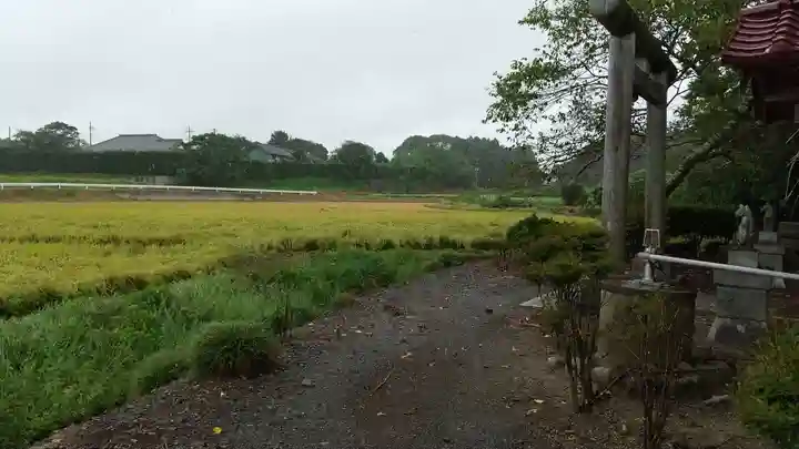 稲荷神社の自然
