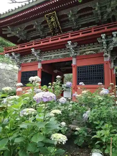 楽法寺（雨引観音）の山門