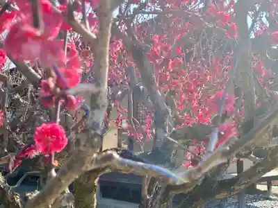 城南宮(京都府)