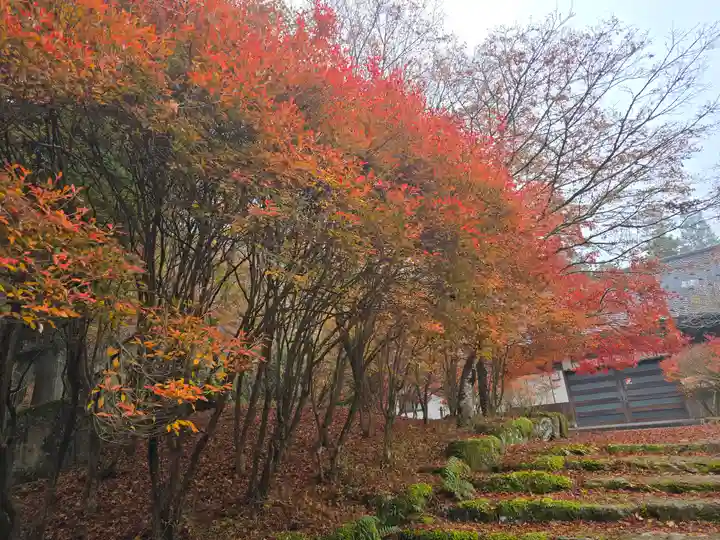 高源寺(兵庫県)