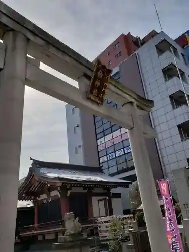 柏神社の鳥居