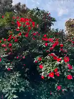 守りの神 藤基神社(新潟県)
