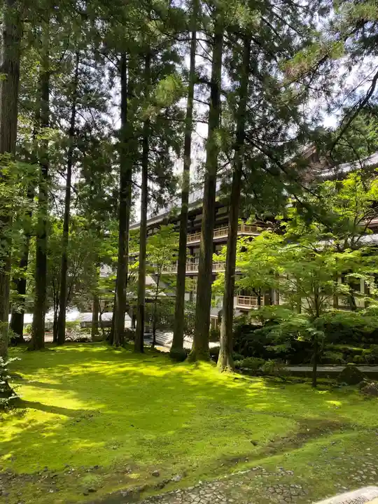 永平寺(福井県)