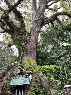 防府天満宮(山口県)