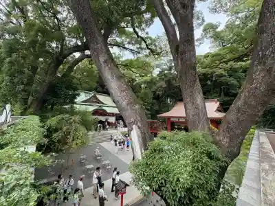 來宮神社(静岡県)