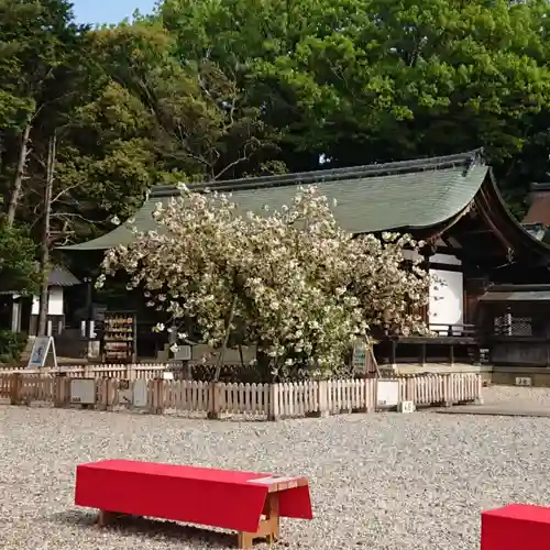 上地八幡宮のその他建物